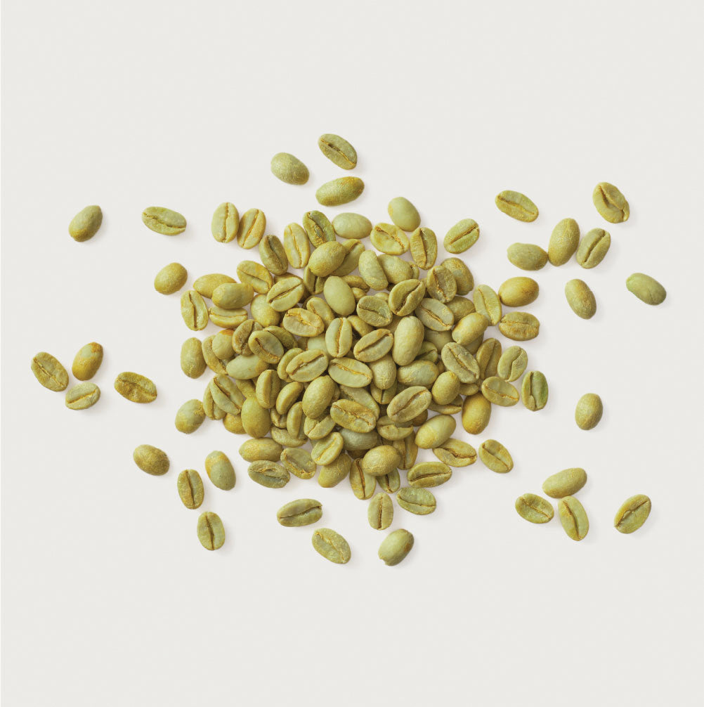 NATURAL ENERGY<br>
<span class="font-chng">Green Coffee Bean</span>