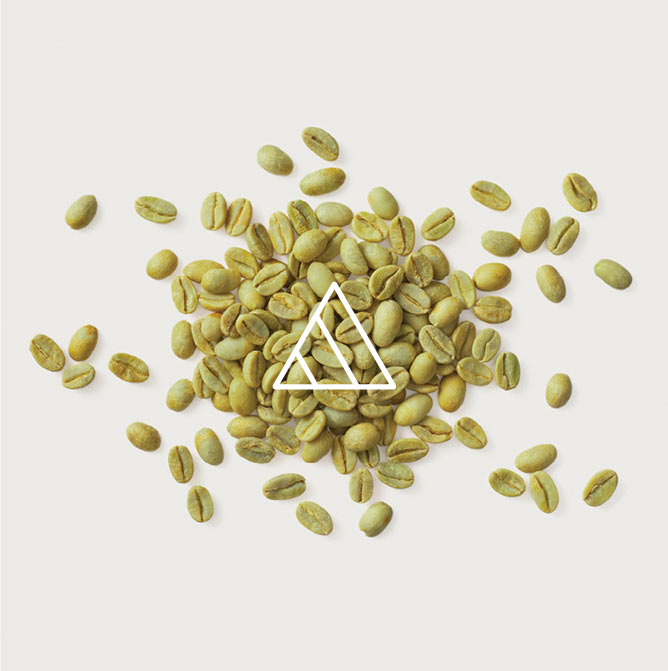NATURAL ENERGY<br>
<span class="font-chng">Green Coffee Bean</span>