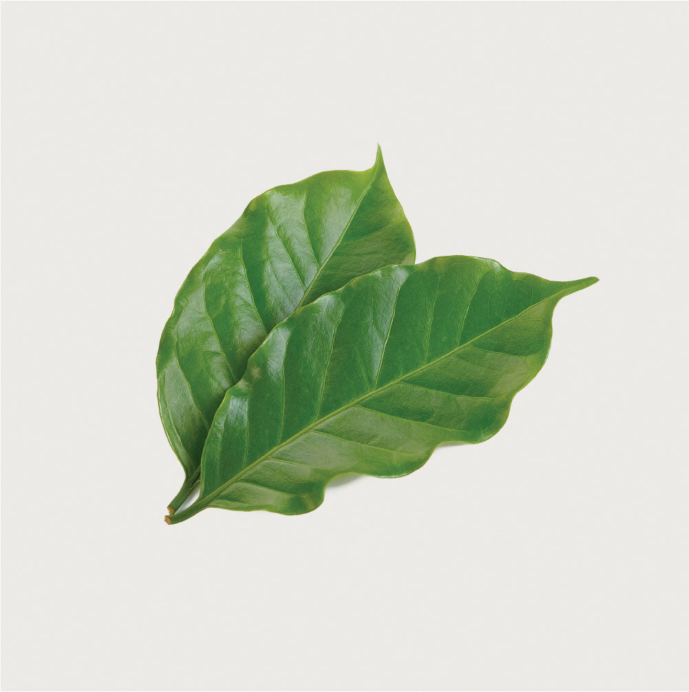 PURE & WHOLESOME<br>
<span class="font-chng">Organic, Gluten-Free, Alcohol-Free</span>