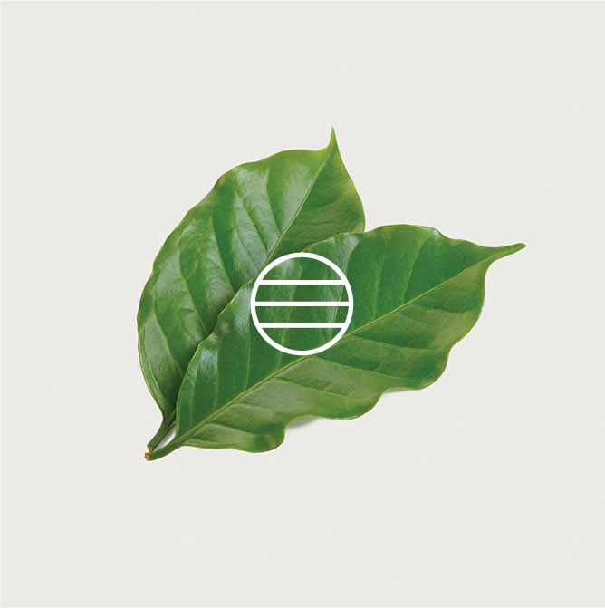 PURE & WHOLESOME<br>
<span class="font-chng">Organic, Gluten-Free, Alcohol-Free</span>