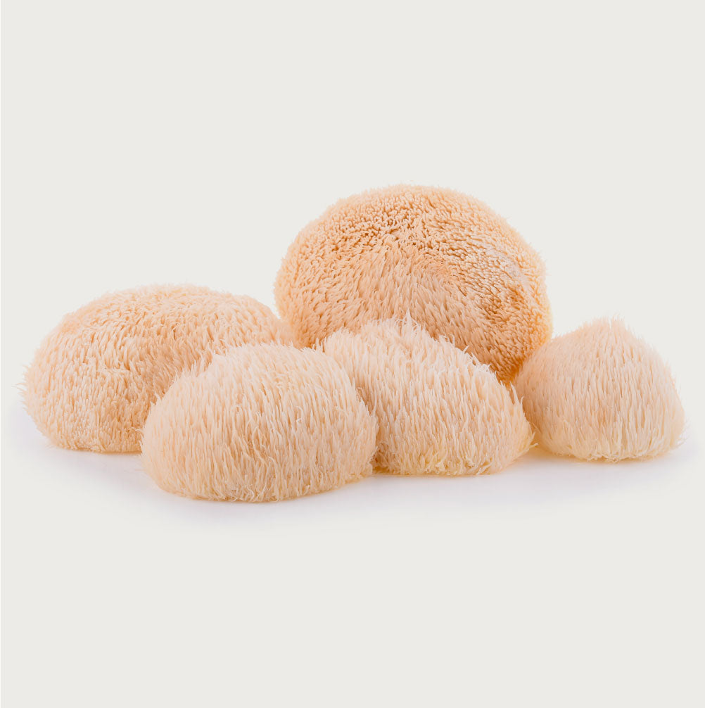 ADAPTOGENS & NOOTROPICS<br>
<span class="font-chng">L-theanine, L-tyrosine, Maca, Lion’s Mane </span>