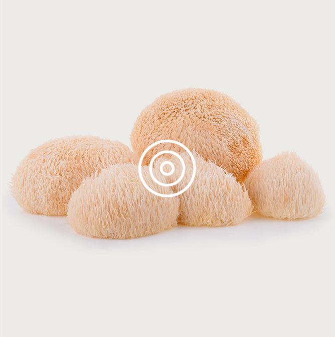 ADAPTOGENS & NOOTROPICS<br>
<span class="font-chng">L-theanine, L-tyrosine, Maca, Lion’s Mane </span>